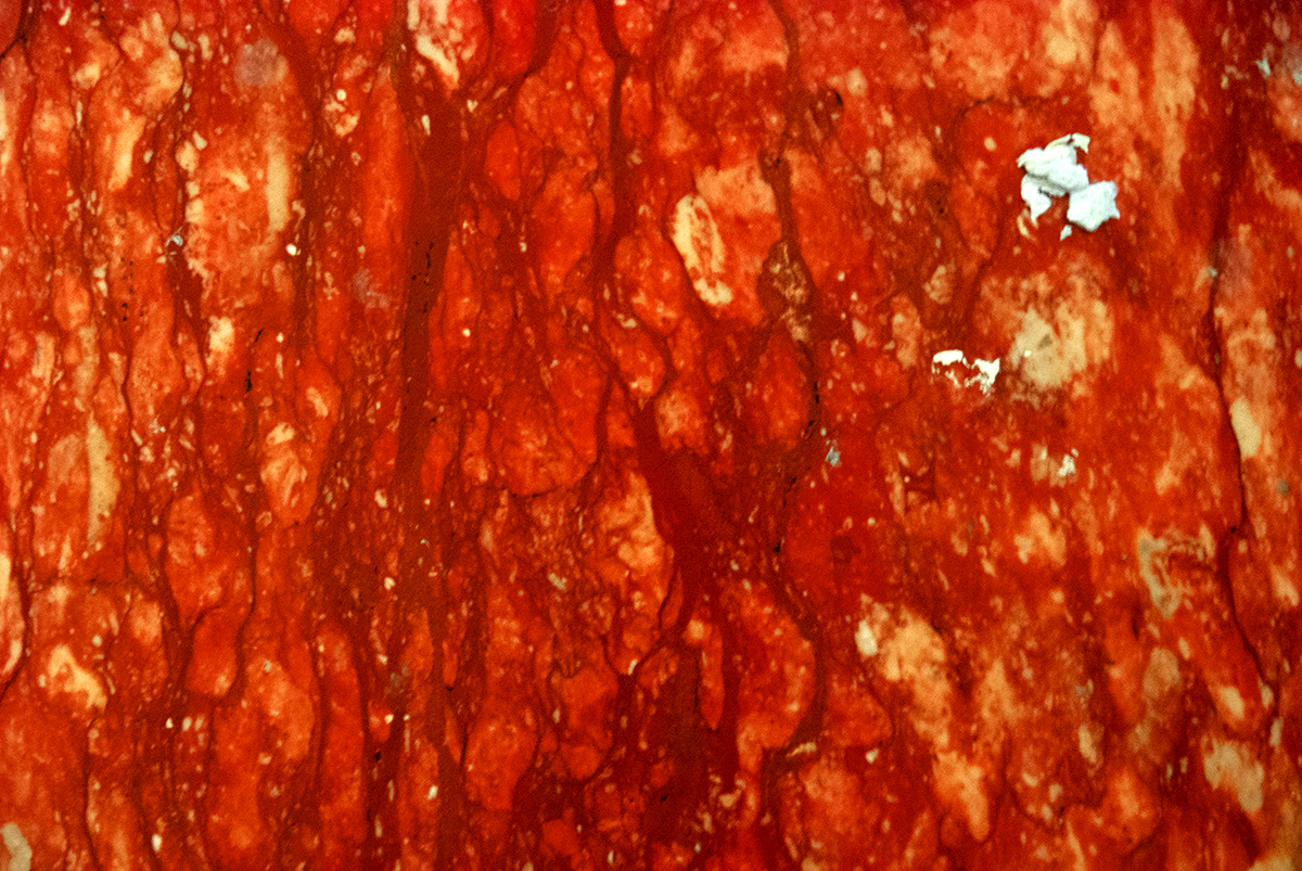 A descriptive caption for the image