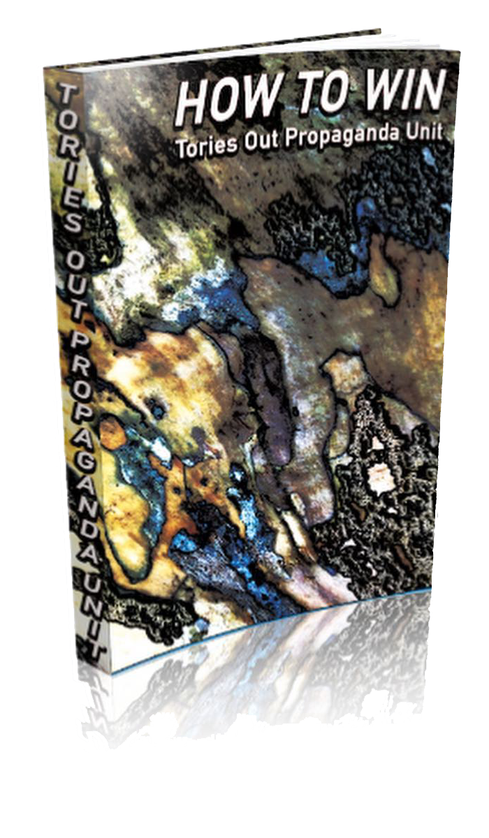 A descriptive caption for the image