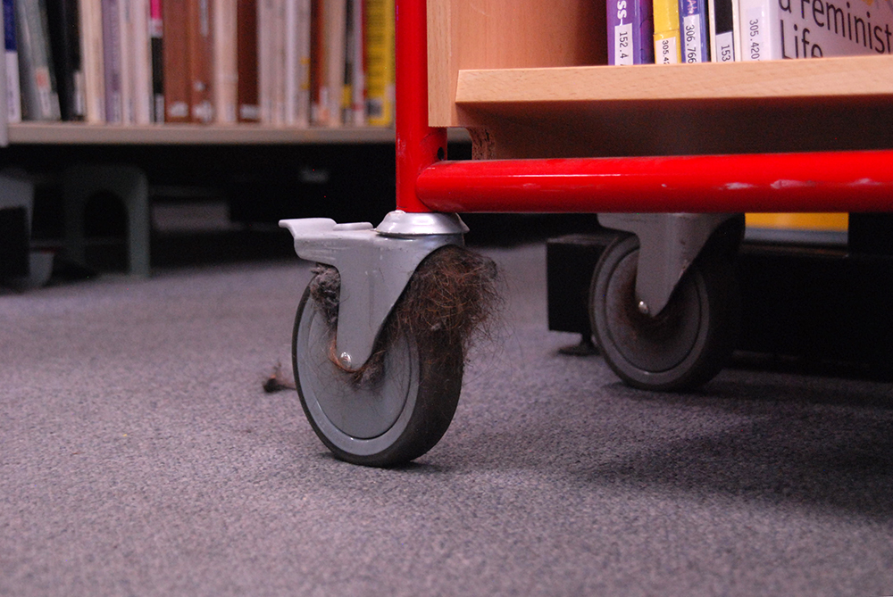 A descriptive caption for the image